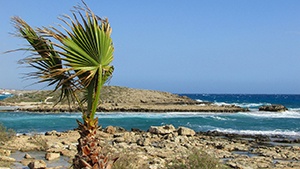 Strand vid Ayia Napa