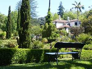Trädgård på Madeira
